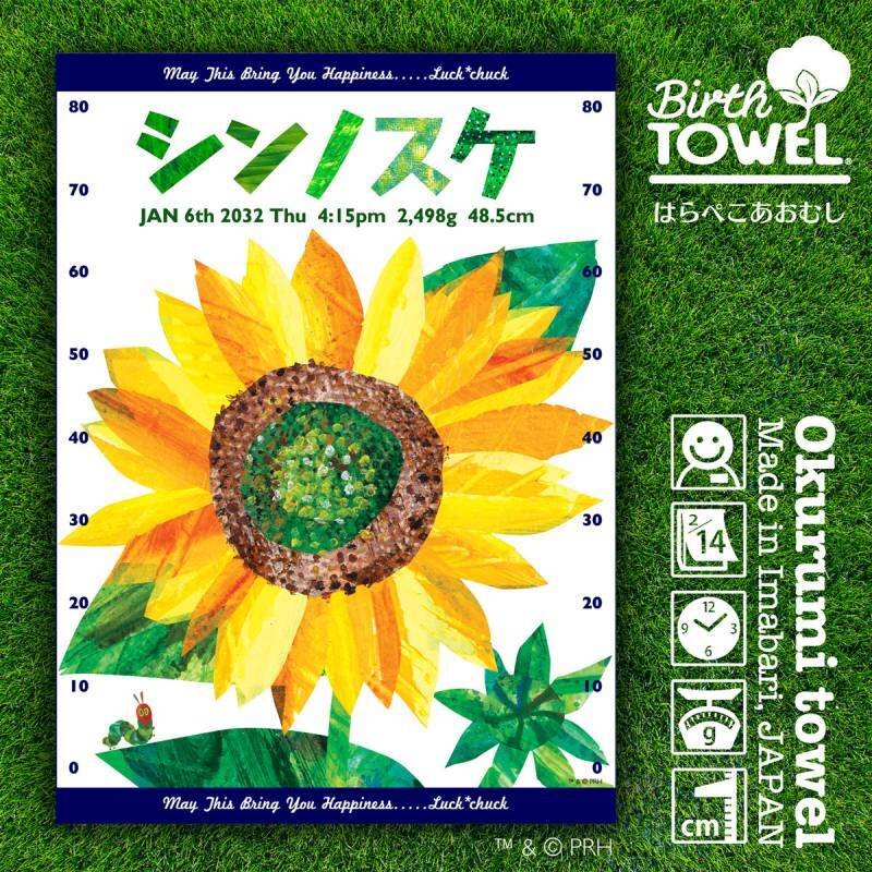 はらぺこあおむし｜名入れバースタオル｜Mサイズ｜今治製｜ビッグ