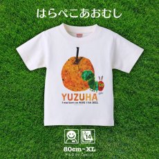 画像1: はらぺこあおむし｜名前入りTシャツ｜FRUIT：フルーツ｜オレンジ (1)