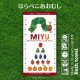 はらぺこあおむし｜名入れバースタオル｜Lサイズ｜今治製｜トライアングル｜レッド
