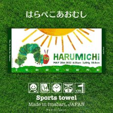 画像1: ［今治製］はらぺこあおむし｜名前入りバースタオル｜スポーツタオル｜SUN：サン｜グリーン (1)