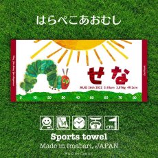 画像1: はらぺこあおむし｜名前入り今治製スポーツタオル｜SUN：サン｜レッド (1)