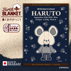 画像1: ［今治製］くまのがっこう｜名前入りバースブランケット｜おくるみ｜せいくらべ｜スケール デイビッド｜インディゴブルー (1)