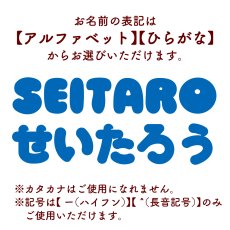 画像5: ロディ｜名前入り今治製バスタオル｜STANDARD：スタンダード｜ブルー (5)