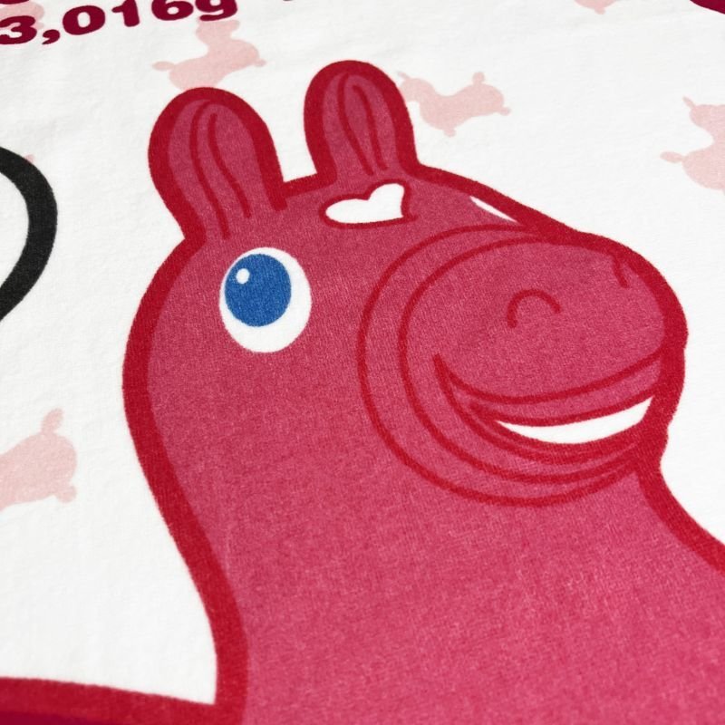 まとめて販売　ロディ ロディ｜名入れバースタオル｜Mサイズ｜今治製｜せいくらべ