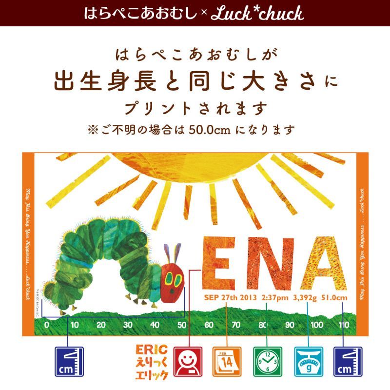 今治製名前入りバスタオル　はらぺこあおむし SUN オレンジ 説明