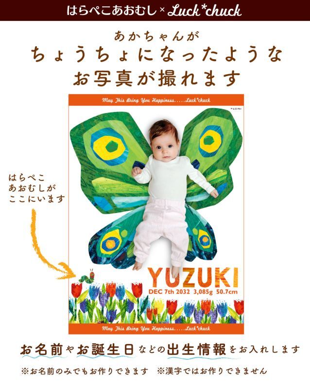 はらぺこあおむし　今治製名前入りバースタオル　おくるみ　バタフライ　オレンジ　 