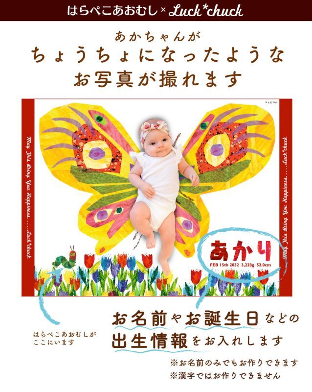 はらぺこあおむし　今治製名前入りバースタオル　おくるみ　バタフライ　レッド　 