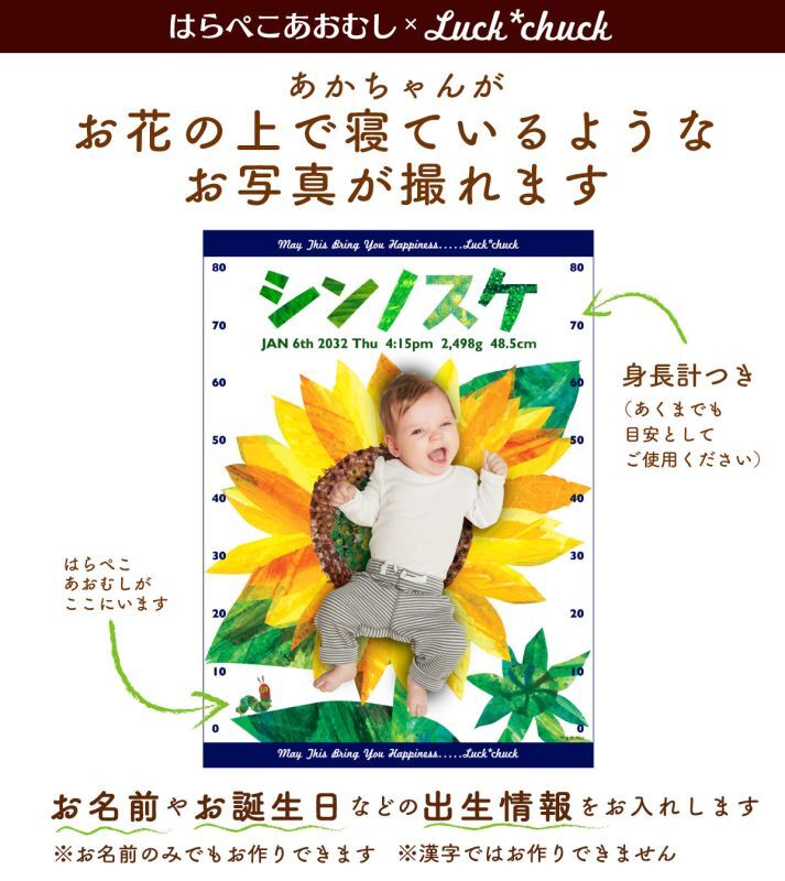 はらぺこあおむし　今治製名前入りバースタオル　おくるみ　ビッグフラワー　ネイビー　 