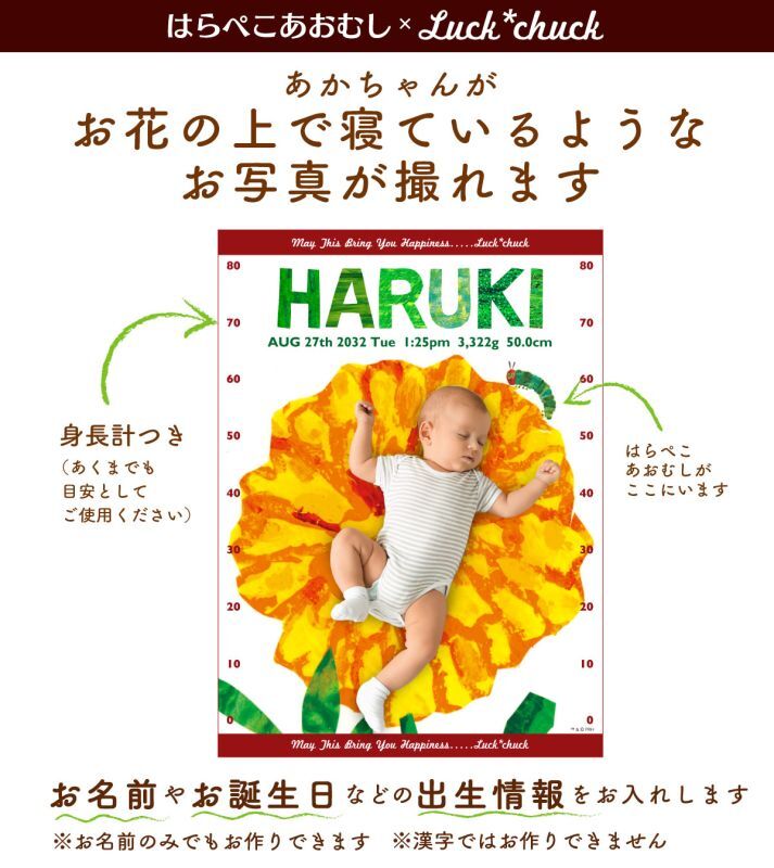 はらぺこあおむし　今治製名前入りバースタオル　おくるみ　ビッグフラワー　ブラウン　 