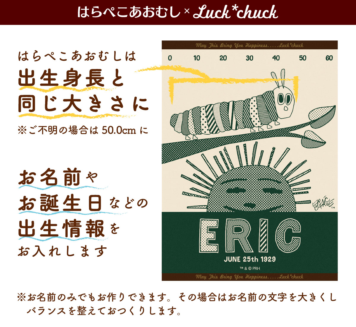 今治製名前入りブランケット　はらぺこあおむし サンライズ　グリーン 説明