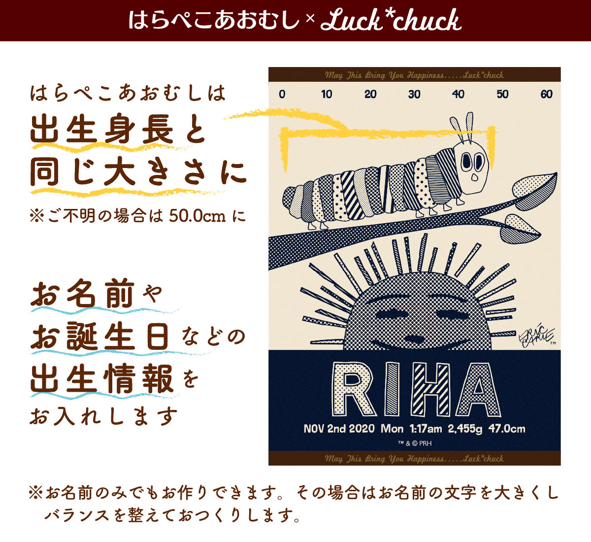今治製名前入りブランケット　はらぺこあおむし サンライズ　ブルー  説明