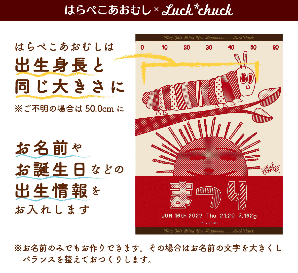 今治製名前入りブランケット　はらぺこあおむし サンライズ　レッド  説明