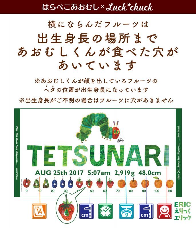 今治製名前入りバスタオル　はらぺこあおむし SUN グリーン 説明