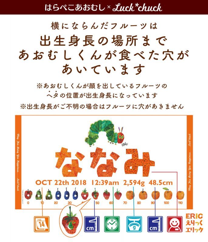 今治製名前入りバスタオル　はらぺこあおむし SUN オレンジ 説明