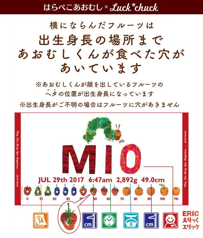 今治製名前入りバスタオル　はらぺこあおむし SUN レッド 説明