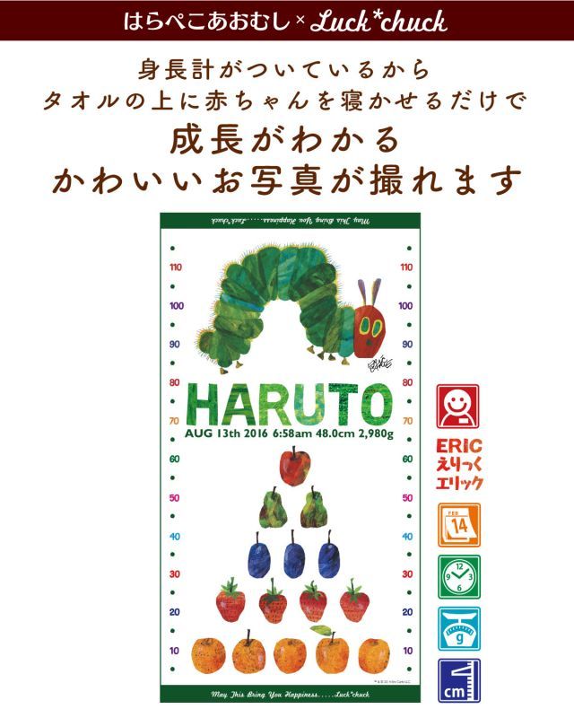 今治製名前入りバスタオル　はらぺこあおむし TRIANGLE グリーン 説明