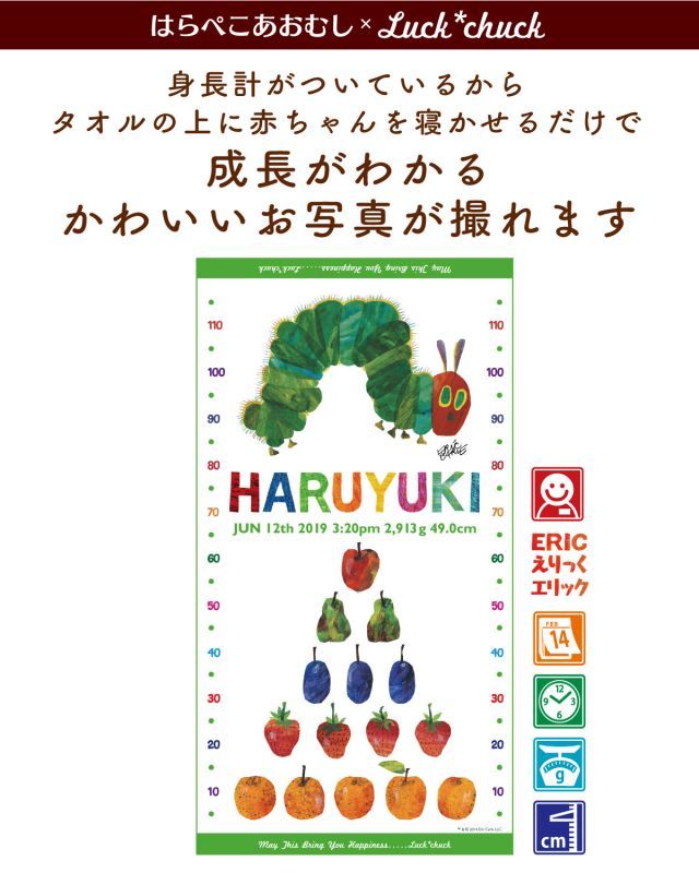 今治製名前入りバスタオル　はらぺこあおむし TRIANGLE ライムグリーン 説明