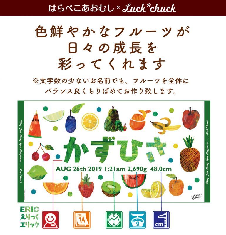 今治製名前入りバスタオル　はらぺこあおむし TROPICAL なし 説明