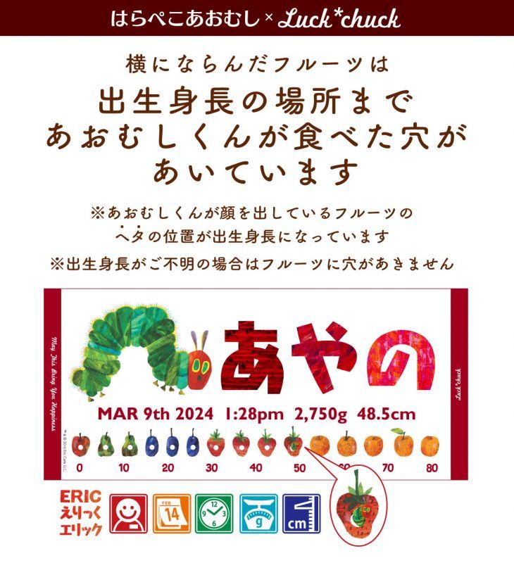 今治製名前入りスポーツタオル　はらぺこあおむし FRUIT レッド 説明