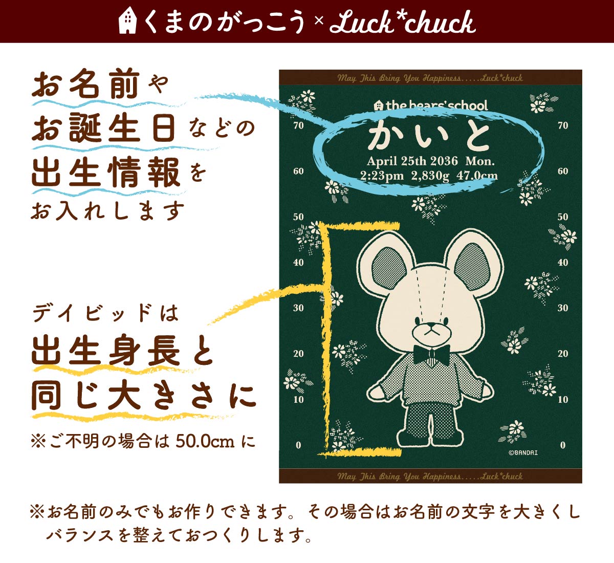 今治製名前入りブランケット　くまのがっこう　スケールデイビッド　グリーン 説明