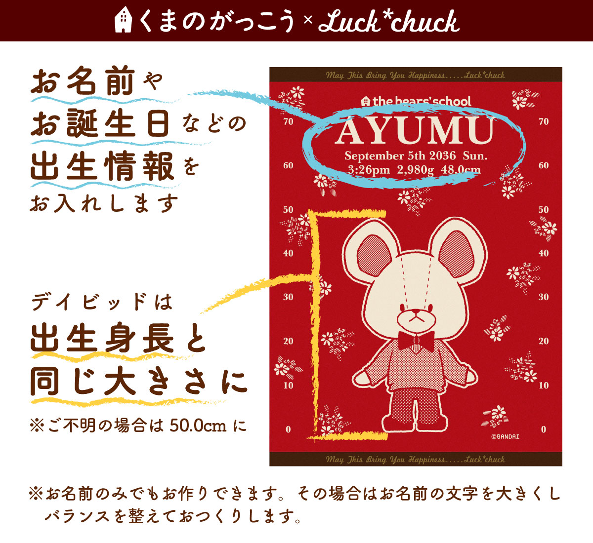 今治製名前入りブランケット　くまのがっこう　スケールデイビッド　レッド 説明