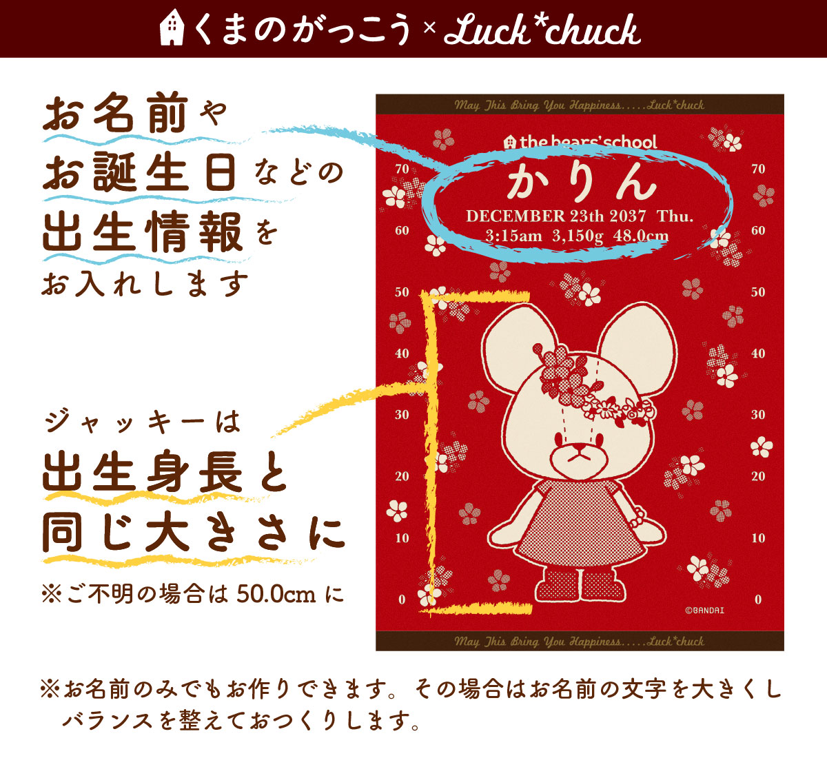 今治製名前入りブランケット　くまのがっこう　スケールジャッキー　レッド 説明
