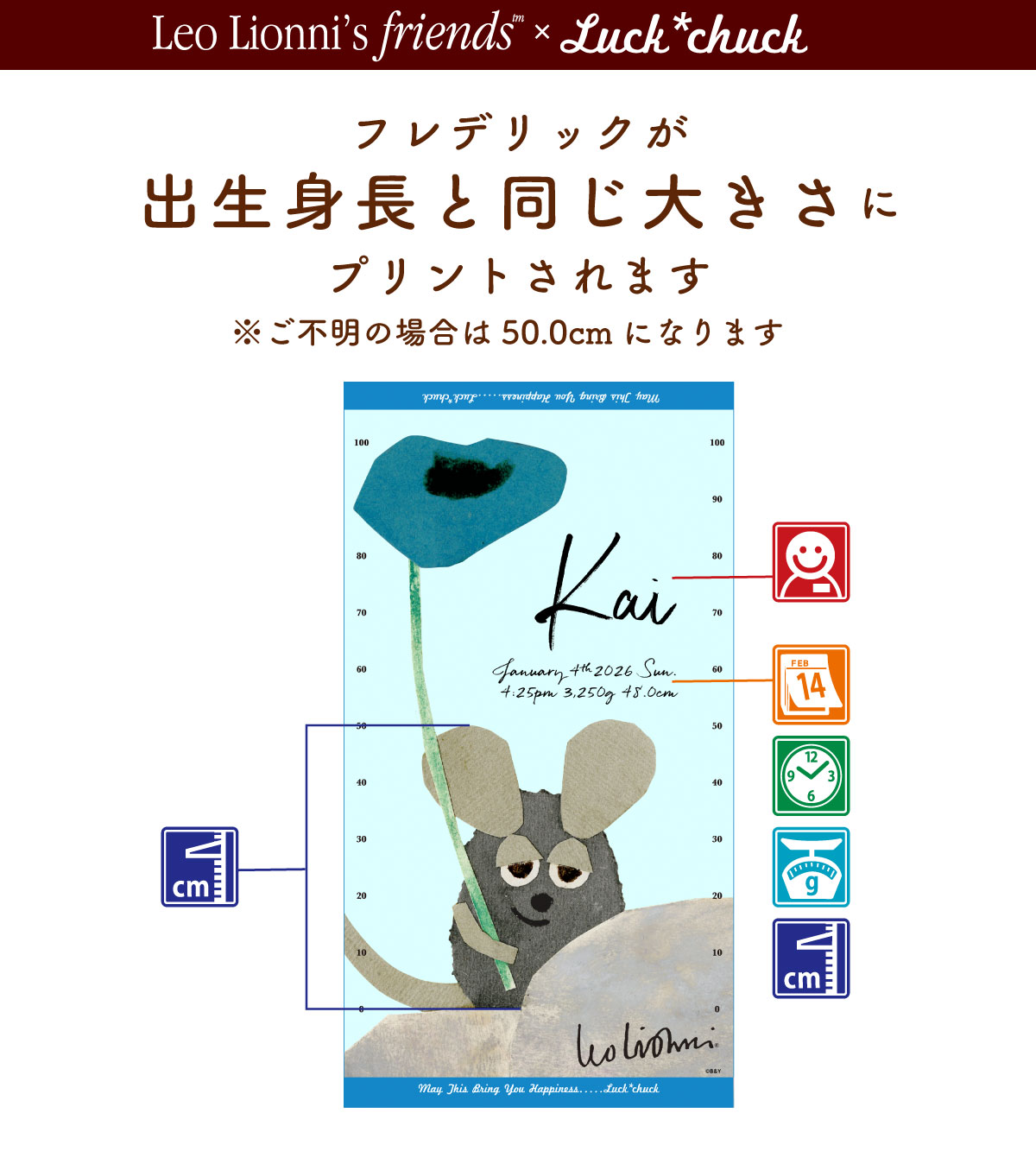 今治製名前入りバスタオル　レオ・レオニ フレデリック　出生身長とせいくらべが出来るタオル　ブルー　説明