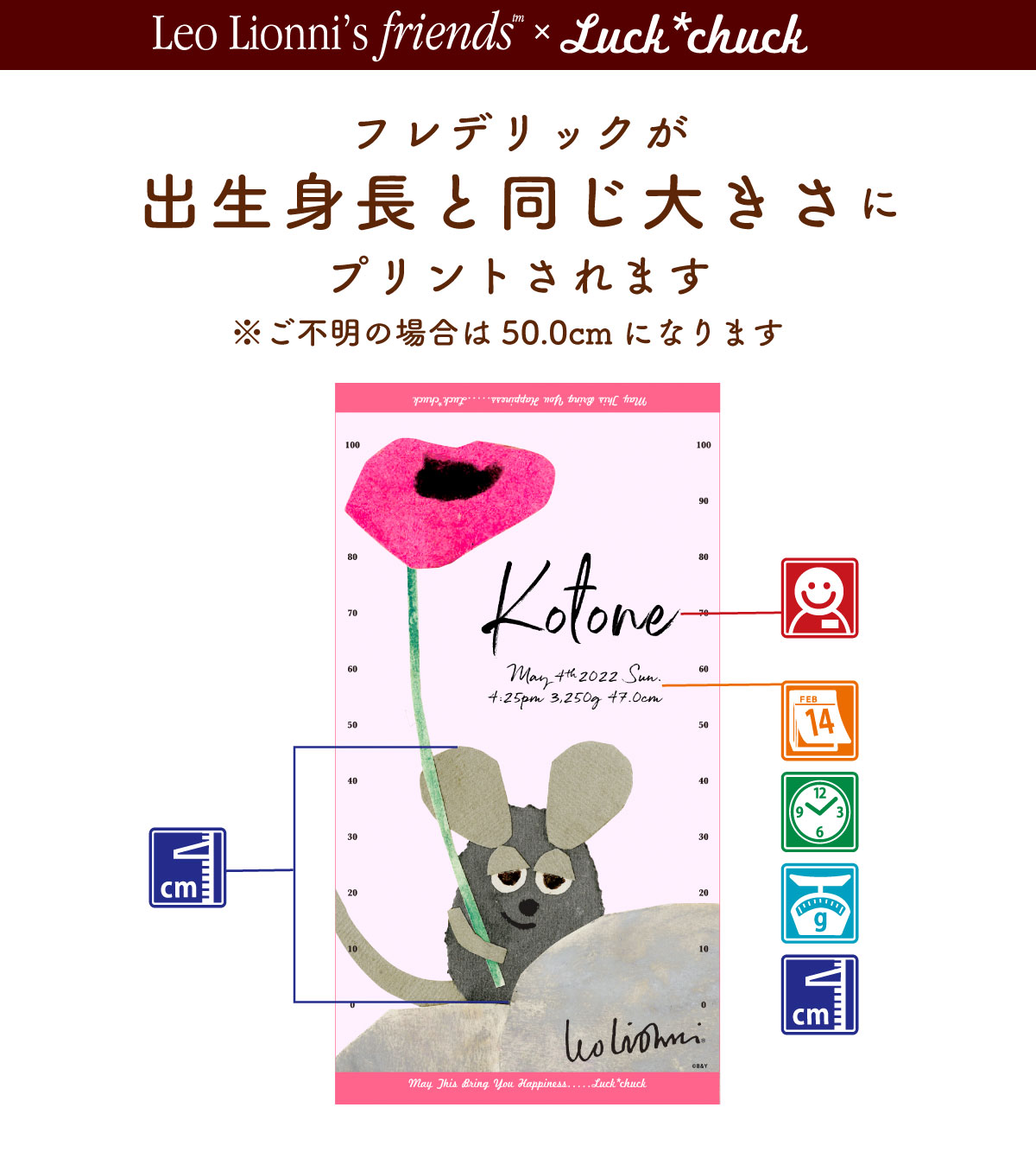 今治製名前入りバスタオル　レオ・レオニ フレデリック　出生身長とせいくらべが出来るタオル　ピンク　説明