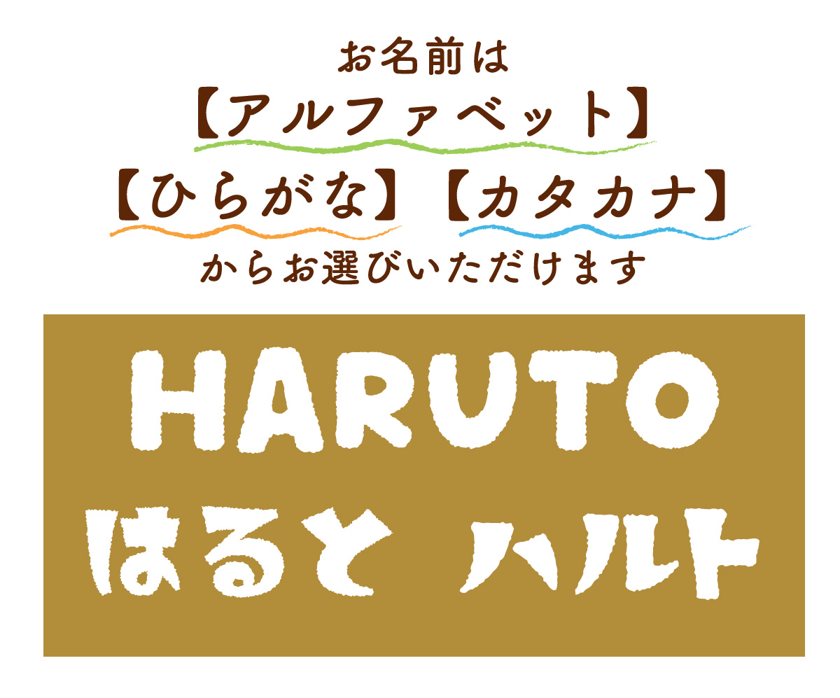 お名前表記について 【説明画像 B2】