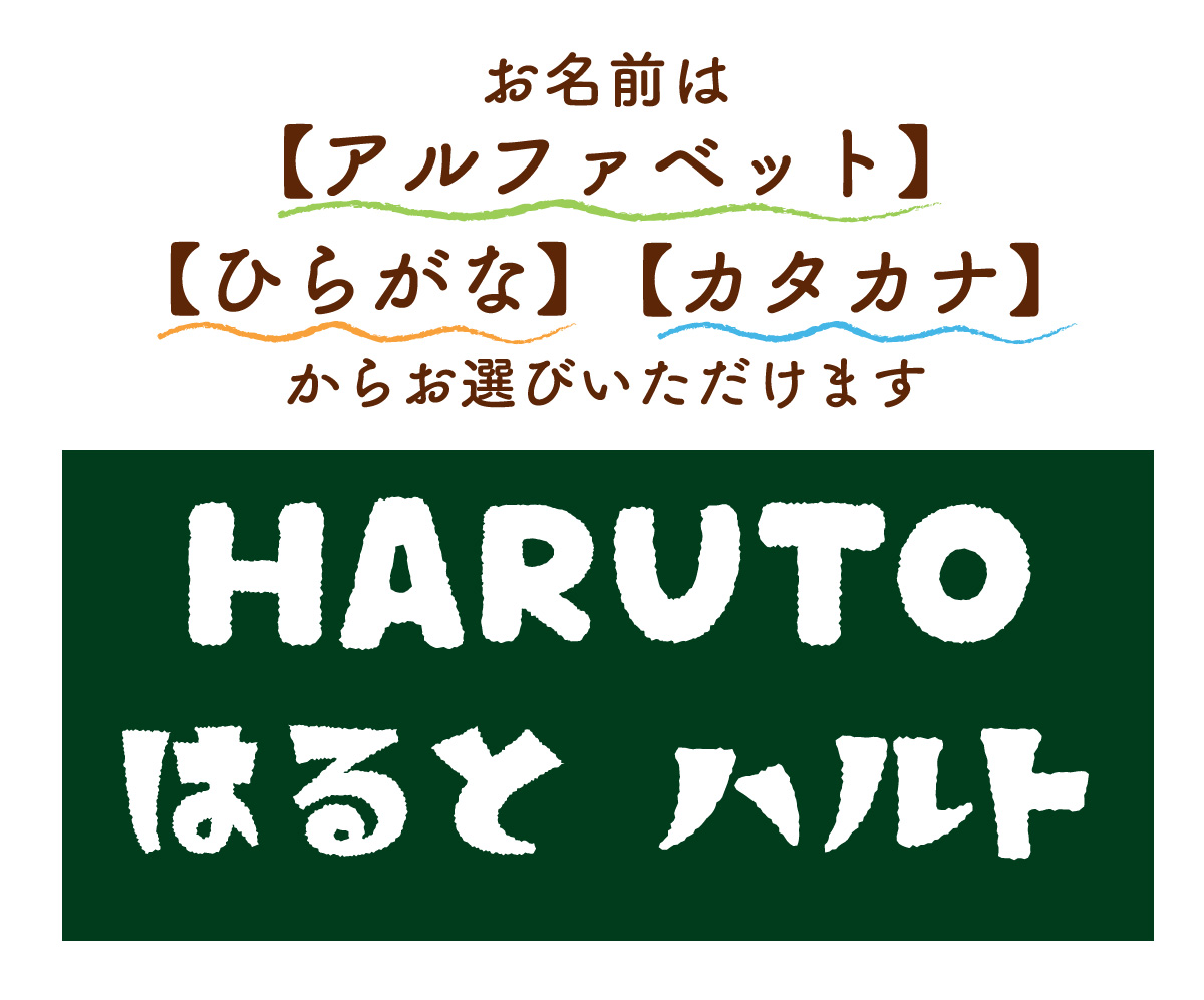 お名前表記について 【説明画像 B2】